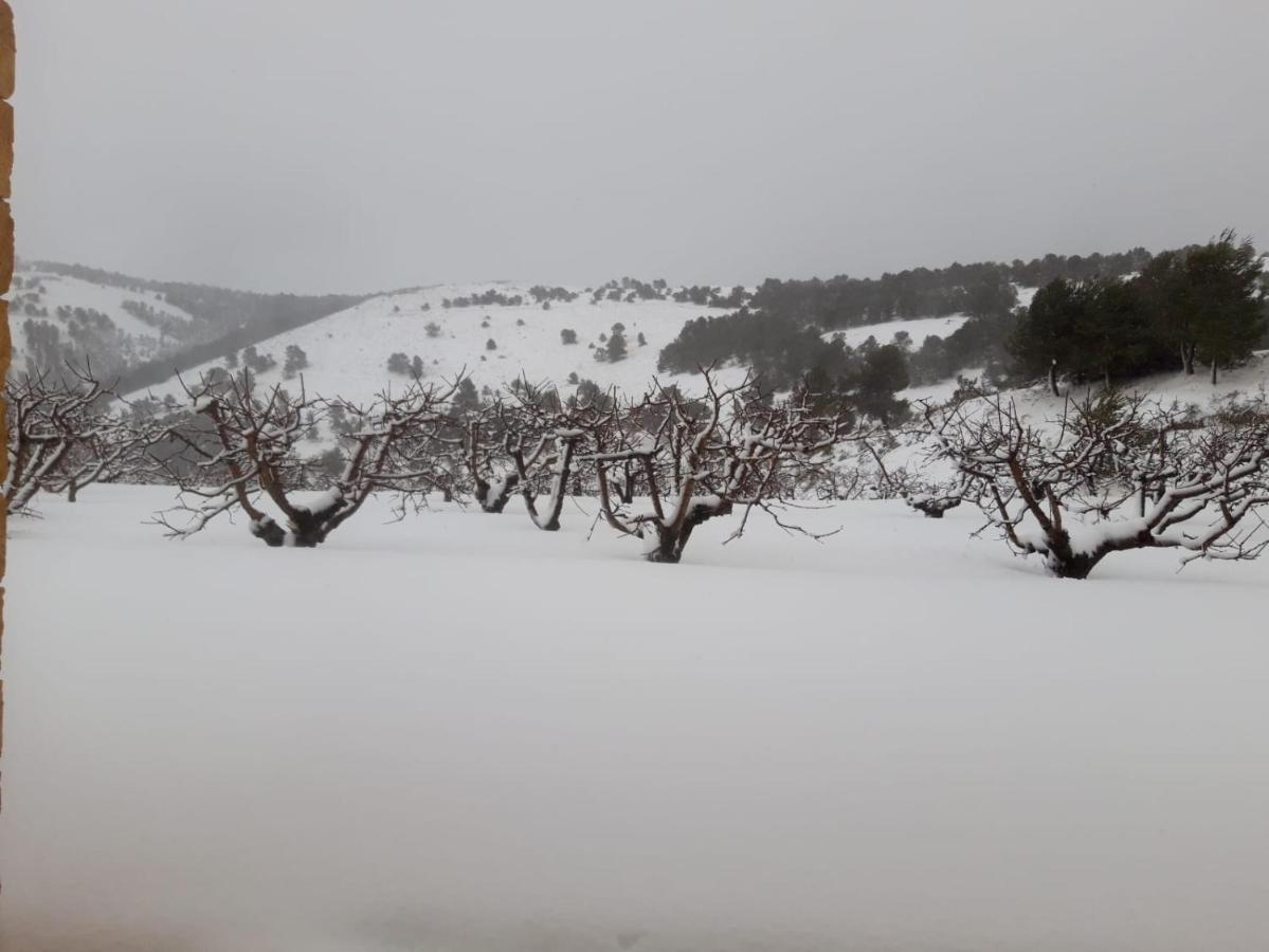Confrides Finca La Foia El Pou מראה חיצוני תמונה
